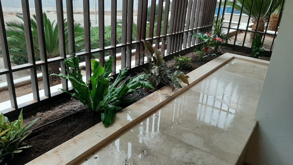 jardineria en malaga capital